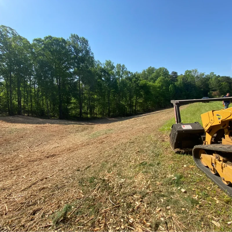 steadfast-landworks-019