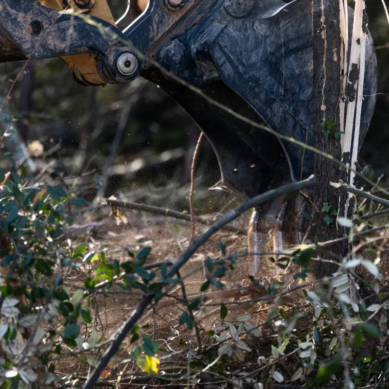 steadfast-landworks-021